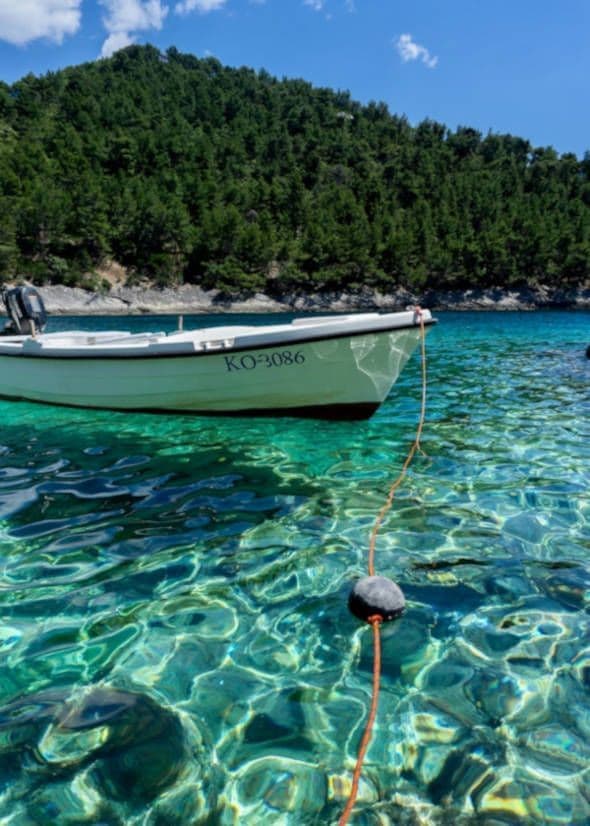 Crystal clear water, boat and vegetation