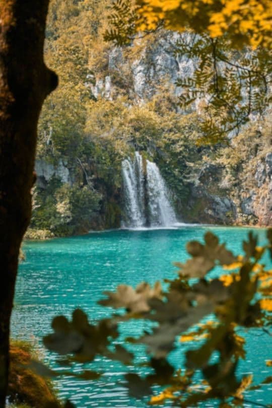 Lake, waterfall and vegetation
