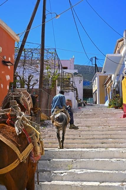 Photo of a typical donkey ride in Symi